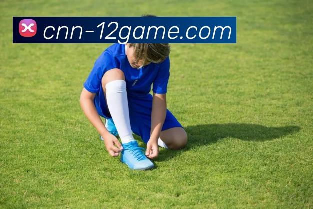 壹贰博官网平台生态图